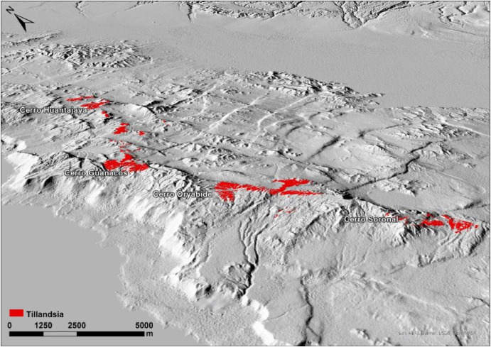 Das Untersuchungsgebiet in 3D (SRTM DEM (Copyright CGIAR-CSI)). Die Ergebnisse der semi-automatisierten Detektion von Tillandsia-Feldern in Chile sind in Rot dargestellt. (Mikulane et al., 2022)