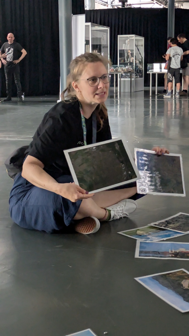 Satellitenbildmemory wid von Maike Petersen erklärt